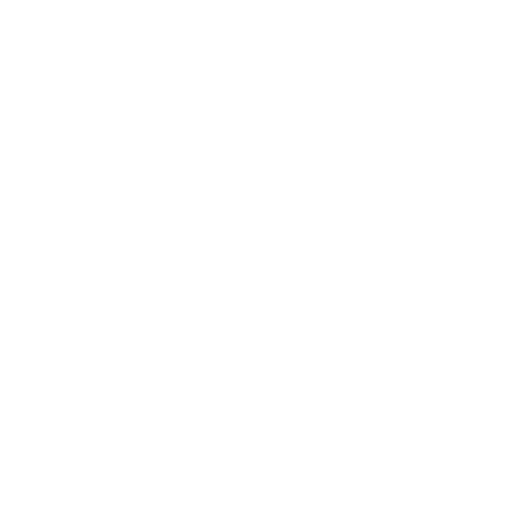 YouthPro System